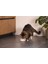 Dbl Kedi Mama Su Kabı, Bambu, Bej 12CM, 250ML Bstmy 3