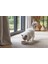 Dbl Kedi Mama Su Kabı, Bambu, Bej 12CM, 250ML Bstmy 5