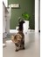 Yavru Kedi Mama Su Kabı, Seramik, Gri Sarı, 17,5cmx3,5cm Bstmy 4