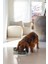 Dbl Köpek Mama Su Kabı, Seramik, Mat Yeşil, 13CM, 160ML Bstmy 2