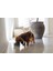 Dbl Köpek Mama Su Kabı, Seramik, Mat Yeşil, 13CM, 160ML Bstmy 3