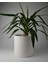 Dekoratif Beton Saksı 25 cm - Delikli+Tabak / Deliksiz - 12L 1