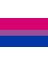 Lgbtq Bisexual Bayrağı 70X105 2