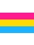 Lgbtq Pansexualıty Bayrağı 70X105 2