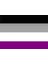 Lgbtq Asexual Bayrağı 70X105 2
