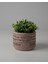 Dekoratif Beton Saksı -Aztec 7,5X12 0.25L Küçük Ahşap Ayaklı Saksı 1