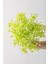 Yapay Cipso Demeti Krem 35 cm 5 Dal 5