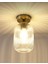 Mylights Rustik Vintage Bal Camlı Tavan Plofonyer Avize 14 cm Cap 1