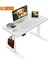 Yüksekliği Ayarlanabilir Ergonomik Bilgisayar & Çalışma Masası 1