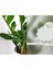 189-0020 Premium Kuş Görünümlü Statik Cam Folyo ( 45 cm x 1 mt ) 4