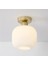 Mylights Plofonyer Tavan Avize Opal Cam Avize Moder Spor Avize 20CM 1