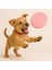 Evcil Hayvan Frizbi - Disk Köpek Oyuncağı - Frizbi Köpek Oyunu - Pet Frizbi - Frizbi Pet 1
