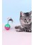 Hareketli Kedi Topu Yavru Kedi Eğitici Hacı Yatmaz Oyuncak 5