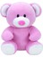 Princess Pink Bear Reg Peluş 15 cm 1