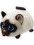 Kimi - Siamese Cat 1