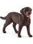 13834 Schleich - Dişi Labrador Retriever +3 Yaş 2