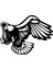 Kartal STICKER17X17 cm Siyah 1
