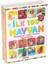 1741 Flash Card Ilk 100 Hayvanlar Eğitici Kartlar -Dıytoy 1