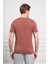 Erkek Kiremit Trend Polo Yaka Dinamik Fit Rahat Kesim T-Shirt 5