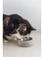 Dbl Kedi Mama Su Kabı, Paslanmaz Çelik, 12,5cm, 160ML 2