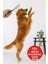 Dosttarak-Tüy Açıcı Kedi Köpek Tarağı Tek Taraflı Metal Dişli Evcil Hayvan Bakım Fırçası 1