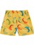 Uv Korumalı Erkek Bebek Deniz Şortu Havuz Şortu 5121 Dinozor Sarı 2