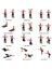 Pilates Barı 2