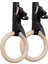 Jimnastik Halkası Jimnastik Barfiks Halkası Halatı Halka Çapı 24 cm 2