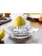 Cam Limon Sıkacağı 1