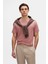 Ds Damat Comfort Fit Pembe %100 Pamuk T-Shirt 6HC14ORT02005 2