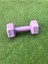 Leyayon 1 kg x 2 Adet Dambıl Vinyl Kaplı Dumbell Ağırlık - Mor Renk 2