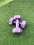 Leyayon 1 kg x 2 Adet Dambıl Vinyl Kaplı Dumbell Ağırlık - Mor Renk 3