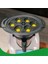 Thermomix Tm5 Tm6 TM31 Yeni 6'sı 1 Arada Yumurta Buharlı Pişirici Tepsi Gıda Sınıfı Pp, 6 Yumurta Kalıbı Buharlı Yumurta Haşlama Makinesi (Yurt Dışından) 2