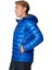 Arctic Crest Down Hooded Platinium Erkek Kaz Tüyü Mont 2