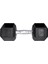 Hex Dambıl Kauçuk Altıgen Dambıl Hex Dumbbell 10 kg 1 Adet 1