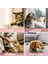 Dondurma Şeklinde Kedi Otu Nanesi 4