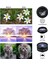 Telefon Kamera 6lı Set Lens Kiti (4887) 2