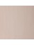 Winton Yağlı Boya 37ML Burnt Umber 076 4