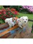 Kedi ve Köpek Elbisesi 3