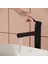 Origin A4255736WTC YÜKSEK LAVABO Bataryası, Mat Siyah 4