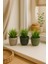 Dekoratif Saksılı Yapay Çiçek 20CM 5