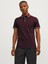 Jjepaulos Polo Ss Noos 12136668-PO 2