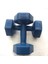 Dambıl 2 x 3 kg 1