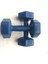 Dambıl 2 x 3 kg 2