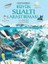 Büyük Sualtı Araştırması 1