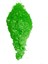 Glitter Neon Sim Epoksi Süsleme Aksesuarı (100 Gr) Yeşil 1