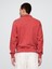 Erkek Kırmızı Heavyweight Oversized Yarım Fermuarlı Sweatshirt 4