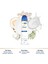 Kadın Sprey Deodorant Original 150 Ml X3 5