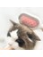 Kedi Köpek Tüy Toplama Tarağı 3