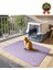 Premium Silinebilir Yıkanabilir Dayanıklı Kedi Köpek Evcil Hayvan Tuvalet Önü Mama Kabı Kum Paspası 3